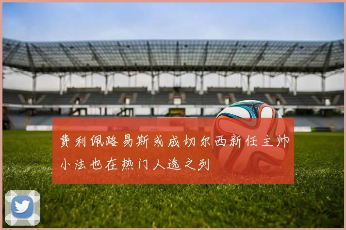 费利佩路易斯或成切尔西新任主帅小法也在热门人选之列