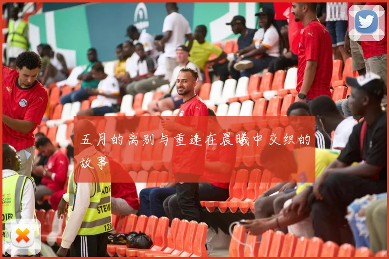 五月的离别与重逢在晨曦中交织的故事